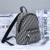 Best Replicas Bags - Replica Dior 38cm Rider Backpack in Beige & Blue Shop For Best Louis Vuitton LV Replica Bags With Cheap Price