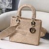 Best Replicas Bags - Dior Lady D-Lite Replica M0565 with Embroidered Logo Shop For Best Louis Vuitton LV Replica Bags With Cheap Price