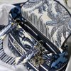 Best Replicas Bags - Dior AAA Medium Lady D-Lite Bag with Embroidered Logo Shop For Best Louis Vuitton LV Replica Bags With Cheap Price