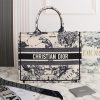 Best Replicas Bags - Dior Latte Multicolor Medium/Large Book Tote Replica Shop For Best Louis Vuitton LV Replica Bags With Cheap Price