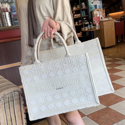 Replica Dior Small Multi-Color Book Tote Bag