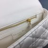 Best Replicas Bags - Replica Dior Small Dr Caro Bag in Black & Beige Shop For Best Louis Vuitton LV Replica Bags With Cheap Price