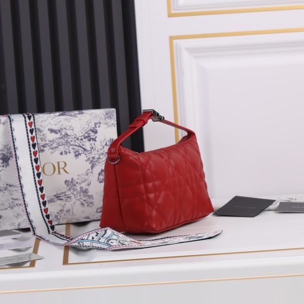 Dior Replica Medium Drtravel Nomad Pouch - Stylish & Compact - Image 28