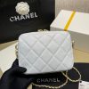 Best Replicas Bags - Replica Chanel Calfskin Camera Bag - Style As2856 Shop For Best Louis Vuitton LV Replica Bags With Cheap Price