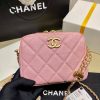 Best Replicas Bags - Replica Chanel Calfskin Camera Bag - Style As2856 Shop For Best Louis Vuitton LV Replica Bags With Cheap Price