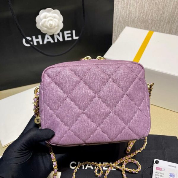 Replica Chanel Calfskin Camera Bag - Style As2856 - Image 32