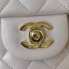 Best Replicas Bags - Replica Chanel Mini Flap Bag in Iridescent Lambskin Shop For Best Louis Vuitton LV Replica Bags With Cheap Price