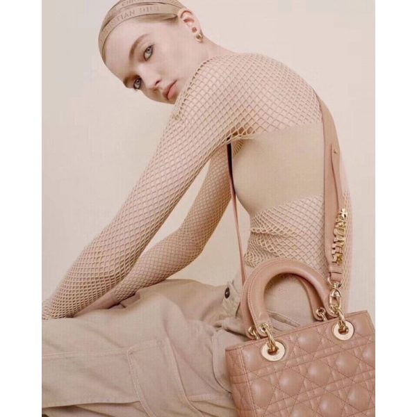 Christian Dior Replica Lambskin My Abcdior Lady Bag M0538 - Image 5