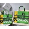 Best Replicas Bags - Christian Dior Replica Book Tote in Green & Orange Jungle Pop Design Shop For Best Louis Vuitton LV Replica Bags With Cheap Price