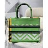 Best Replicas Bags - Dior Replica Medium Book Tote - Pop Embroidery in Green & Orange Shop For Best Louis Vuitton LV Replica Bags With Cheap Price