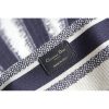 Best Replicas Bags - Replica Dior Blue D-Stripes Lady D-Lite Bag M0565 Shop For Best Louis Vuitton LV Replica Bags With Cheap Price