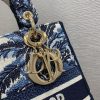 Best Replicas Bags - Replica Dior Lady D-Lite Blue Dior Palms Embroidery Bag Shop For Best Louis Vuitton LV Replica Bags With Cheap Price