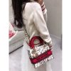 Best Replicas Bags - Replica Dior Lady D-Lite Latte Graffiti Embroidery Bag M0565 Shop For Best Louis Vuitton LV Replica Bags With Cheap Price