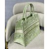 Best Replicas Bags - Replica Dior Small Book Tote Lime Toile De Jouy Embroidery Shop For Best Louis Vuitton LV Replica Bags With Cheap Price