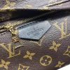 Best Replicas Bags - LV Monogram Canvas Palm Springs Backpack MM M41561 Replica Shop For Best Louis Vuitton LV Replica Bags With Cheap Price