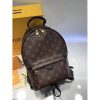 Best Replicas Bags - Replica LV Monogram Palm Springs PM Backpack M41560 Shop For Best Louis Vuitton LV Replica Bags With Cheap Price