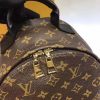 Best Replicas Bags - Replica LV Monogram Palm Springs PM Backpack M41560 Shop For Best Louis Vuitton LV Replica Bags With Cheap Price