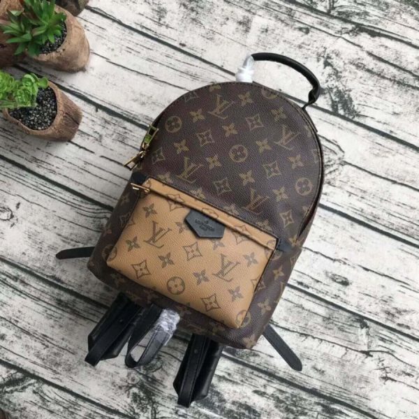 LV Monogram Palm Springs PM Backpack M43116 – Stylish Replica - Image 2