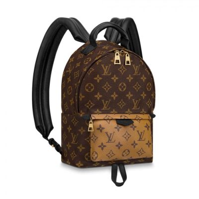 LV Monogram Palm Springs PM Backpack M43116 – Stylish Replica