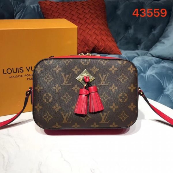 Replica LV Monogram Canvas Saintonge M43559 Bag - Image 2