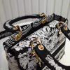 Best Replicas Bags - Replica Dior Medium Lady D-Lite Bag M0565Omdv_M993 Shop For Best Louis Vuitton LV Replica Bags With Cheap Price
