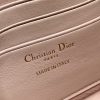 Best Replicas Bags - Replica Dior Miss Mini Rose Des Vents Lambskin Bag S0980Onmj_M49P Shop For Best Louis Vuitton LV Replica Bags With Cheap Price