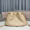 Best Replicas Bags - Replica Dior Ammi Bag in Sand Pink Lambskin M22566FBE_M84P Shop For Best Louis Vuitton LV Replica Bags With Cheap Price