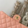 Best Replicas Bags - Chanel Replica 1 As3777 in Pink - Timeless Elegance Shop For Best Louis Vuitton LV Replica Bags With Cheap Price