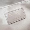 Best Replicas Bags - Replica Dior Ammi Bag in Sand Pink Lambskin M22566FBE_M84P Shop For Best Louis Vuitton LV Replica Bags With Cheap Price